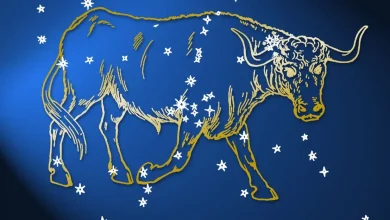 A temporada de Touro chegou trazendo energia de pé no chão. Confira dicas para reforçar sua segurança emocional e manter o foco na rotina.