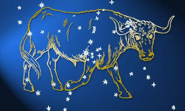 A temporada de Touro chegou trazendo energia de pé no chão. Confira dicas para reforçar sua segurança emocional e manter o foco na rotina.
