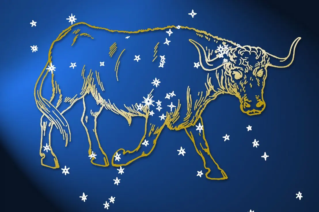 A temporada de Touro chegou trazendo energia de pé no chão. Confira dicas para reforçar sua segurança emocional e manter o foco na rotina.