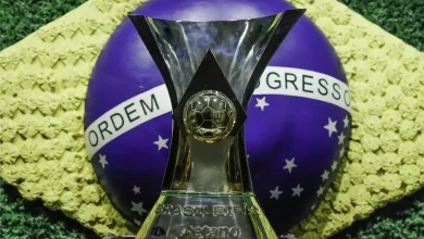 O Brasileirão figura entre os torneios com maior rotatividade de treinadores globalmente. Entenda o impacto dessa instabilidade no futebol brasileiro.
