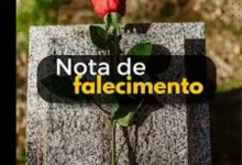 6568830052026081941.webp