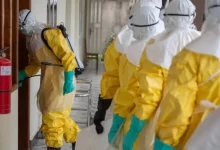 O surto de ebola na República Democrática do Congo e Uganda coloca dez países em alerta máximo. Confira os riscos e as medidas de controle da doença.