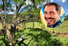 Conheça a impressionante fazenda de Thiago Lacerda na Serra do Rio de Janeiro, onde o ator se dedica a um inusitado projeto de cultivo de lúpulo artesanal.