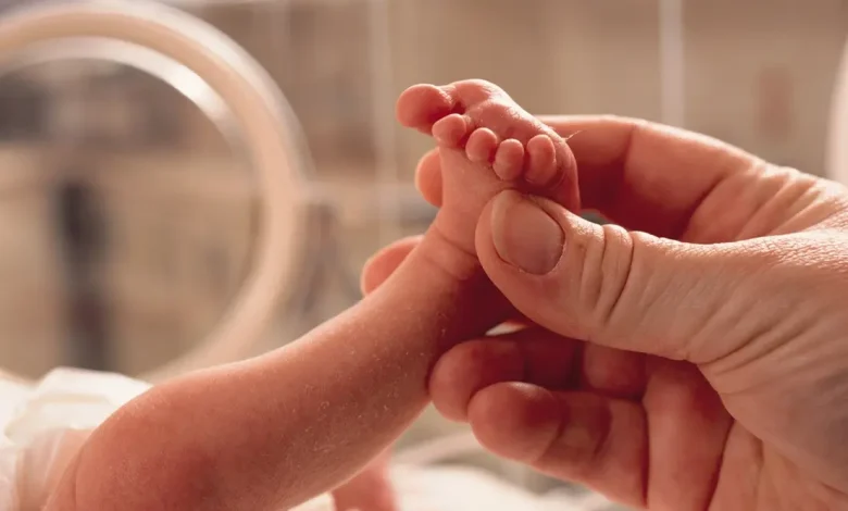 O Dia das Mães na UTI Neonatal ganha um novo significado com ensaio fotográfico emocionante e humanizado. Confira a história de força e amor em Itajaí.