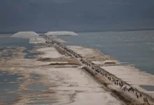 O Mar Morto perdeu um terço de sua área e encolhe mais de um metro por ano. Entenda os fatores humanos por trás deste grave desastre ecológico iminente.