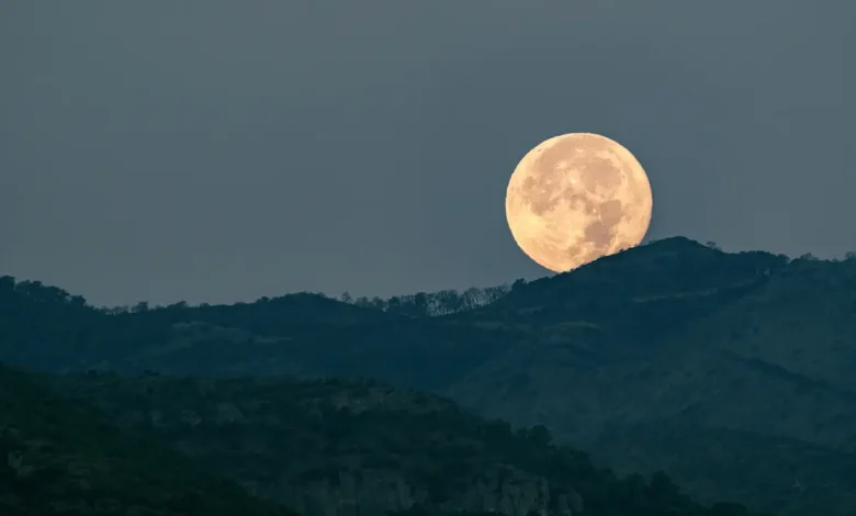 A Lua Cheia em Escorpião chegou trazendo intensidade e revelações. Saiba como lidar com as transformações necessárias neste período de mudanças profundas.