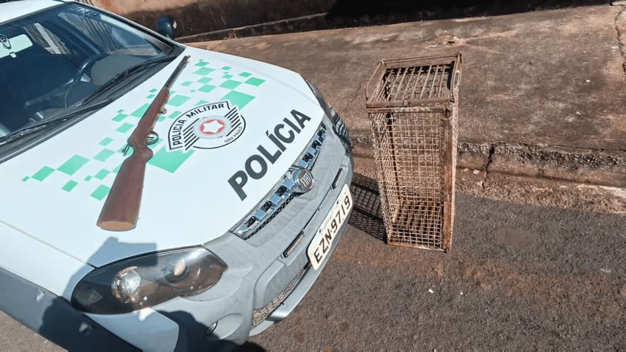 a arma estava no interior de uma casa no distrito de roseta 16116 Easy Resize.com