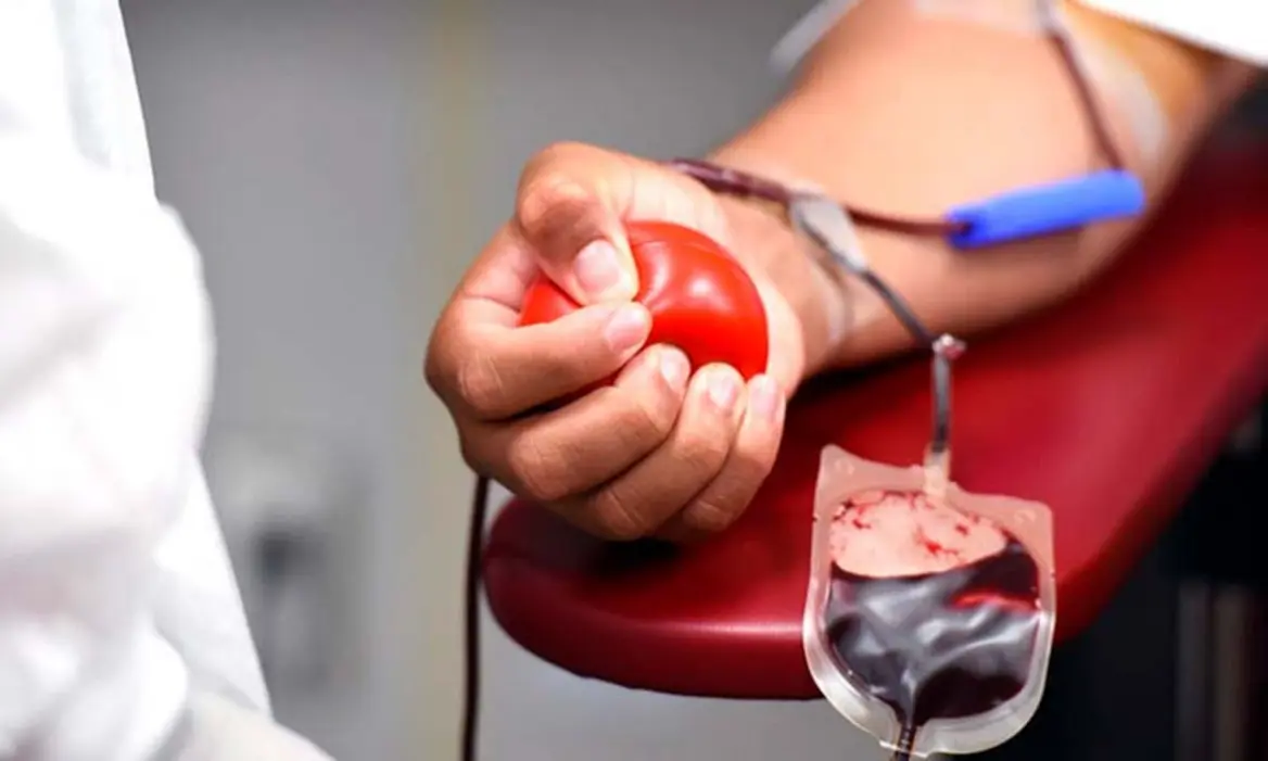 Cândido-motense Precisa de Doação de Sangue O- Urgente em Assis 6 A Folha de Paraguaçu apela à solidariedade: Fernanda Coutinho, de Cândido Mota, necessita de doação de sangue tipo O- para cirurgia. Doe no Hospital de Assis.