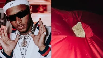 Uma mulher foi flagrada danificando a Ferrari e a McLaren do rapper Orochi em sua residência. Descubra os detalhes do ato de vandalismo e o prejuízo milionário.