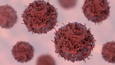 Uma nova descoberta científica identificou uma proteína capaz de travar a progressão de células tumorais, abrindo portas para tratamentos oncológicos.