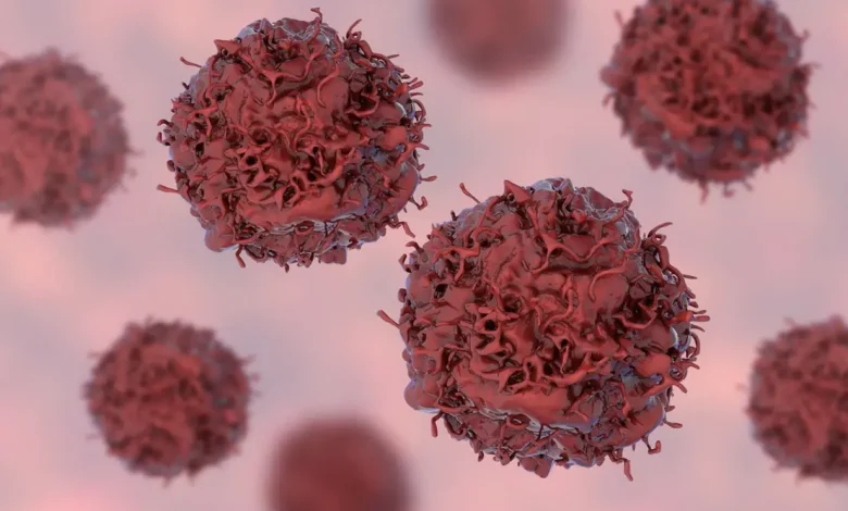 Uma nova descoberta científica identificou uma proteína capaz de travar a progressão de células tumorais, abrindo portas para tratamentos oncológicos.