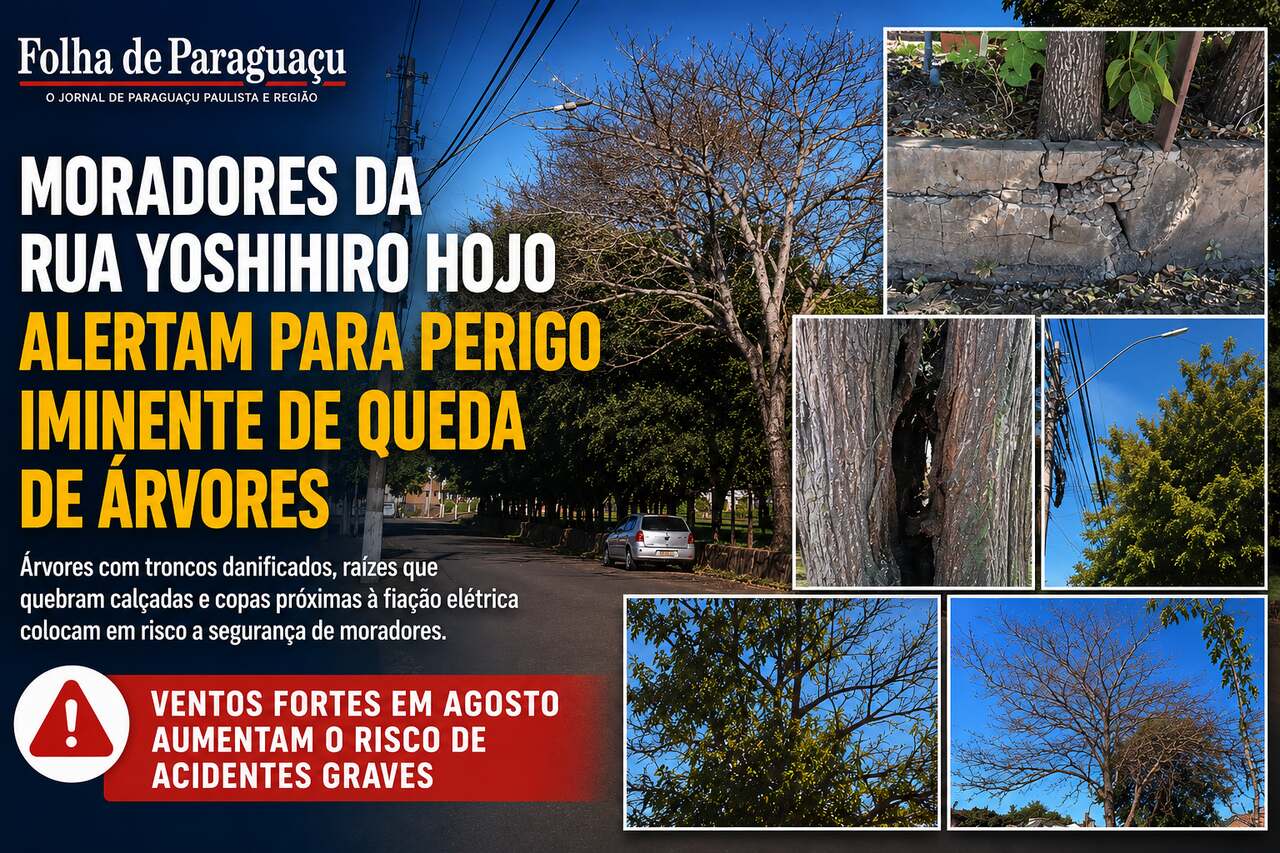 Rua Yoshihiro Hojo: Risco de Queda de Árvores Preocupa 6 Ar Condicionado