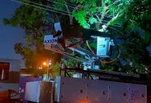 Um forte vendaval atingiu Florínea, derrubando árvore e rompendo a rede elétrica. Equipes trabalham no reparo para restabelecer a energia na região.