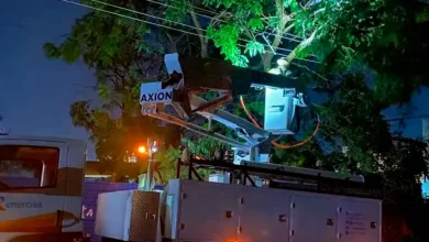Um forte vendaval atingiu Florínea, derrubando árvore e rompendo a rede elétrica. Equipes trabalham no reparo para restabelecer a energia na região.