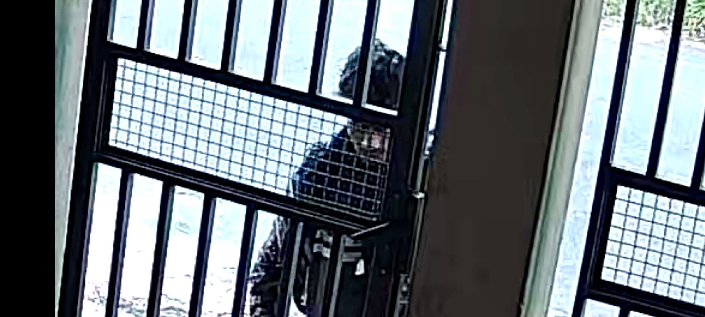 Vídeo: Homem Tenta Invadir Casa no Jardim das Oliveiras 6 FB IMG 1784596052533