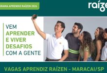 Raizen Aprendiz