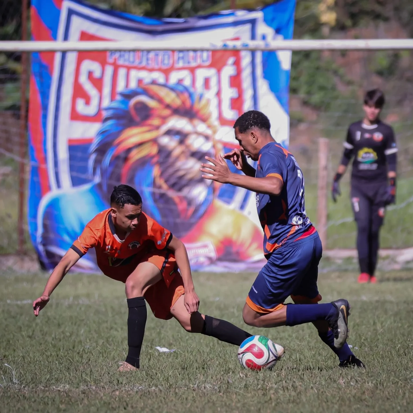 Campeões da Copa de Base: Conheça os Vencedores em Paraguaçu 8 SaveClip.App 742977231 18362714875241080 3451747576131097637 n.jpg
