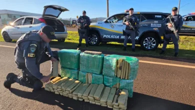 TOR apreende mais de 150 kg de maconha em Tarumã 2 Uma ação ostensiva do TOR resultou na apreensão de mais de 150 kg de maconha em Tarumã. O entorpecente estava sendo transportado em um veículo.