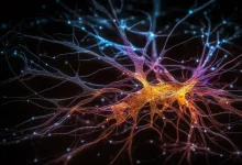 Estudos recentes apontam que a obesidade pode acelerar o declínio cognitivo e aumentar o risco de Alzheimer. Entenda essa relação e a importância do cuidado.