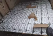 Motorista é condenado pela Justiça após ser flagrado transportando quase uma tonelada de agrotóxicos ilegais em Mato Grosso do Sul. Confira os detalhes.