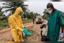 O avanço acelerado de casos de Ebola na República Democrática do Congo alerta especialistas. Confira a análise sobre os riscos e a situação atual da doença.