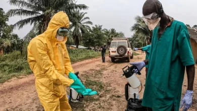 O avanço acelerado de casos de Ebola na República Democrática do Congo alerta especialistas. Confira a análise sobre os riscos e a situação atual da doença.