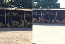 Fiscalização em Rancharia resulta em multa de quase R$ 5 mil para madeireira flagrada comercializando madeira nativa sem autorização ambiental. Confira.