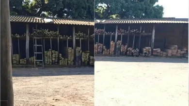 Madeireira é multada em Rancharia por venda ilegal de madeira 2 Fiscalização em Rancharia resulta em multa de quase R$ 5 mil para madeireira flagrada comercializando madeira nativa sem autorização ambiental. Confira.