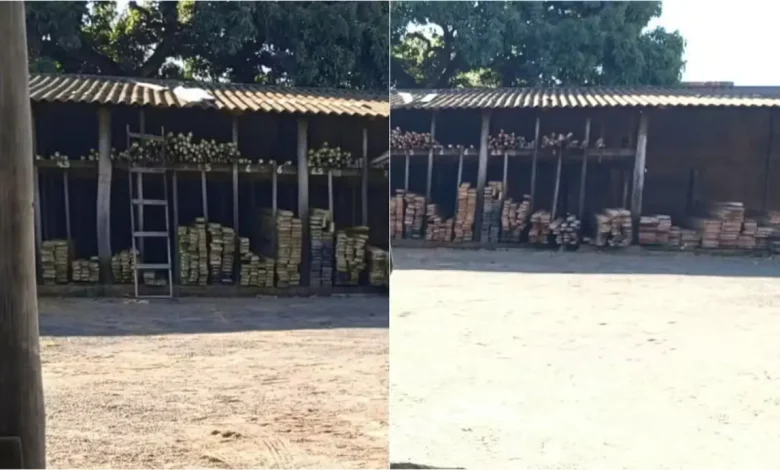 Fiscalização em Rancharia resulta em multa de quase R$ 5 mil para madeireira flagrada comercializando madeira nativa sem autorização ambiental. Confira.