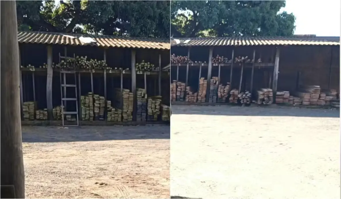 Madeireira é multada em Rancharia por venda ilegal de madeira 6 Fiscalização em Rancharia resulta em multa de quase R$ 5 mil para madeireira flagrada comercializando madeira nativa sem autorização ambiental. Confira.