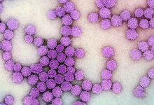 Aprenda como funcionam os testes rápidos de hepatites que detectam as infecções em apenas 30 minutos, facilitando o diagnóstico precoce e o tratamento.