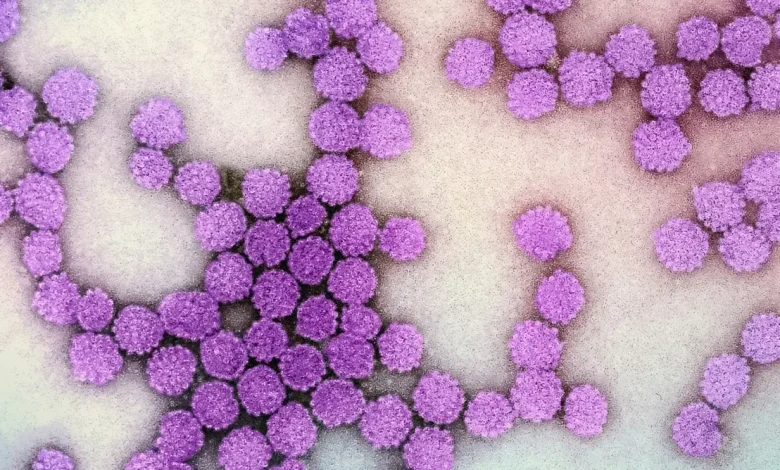 Aprenda como funcionam os testes rápidos de hepatites que detectam as infecções em apenas 30 minutos, facilitando o diagnóstico precoce e o tratamento.