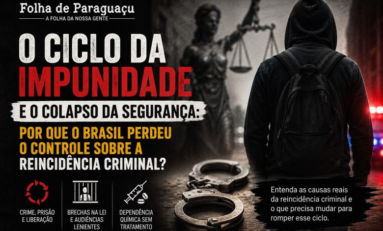 Impunidade no Brasil: Por Que Furtos Não Dão Prisão? 1 Impunidade no Brasil: Por Que Furtos Não Dão Prisão?