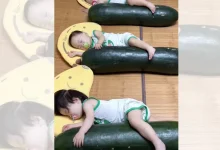 Uma tendência curiosa surge na China: pais estão usando melões gigantes como piscinas improvisadas para aliviar o calor intenso em bebês. Veja os detalhes.
