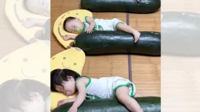 Pais na China usam melões gigantes para refrescar bebês 2 Uma tendência curiosa surge na China: pais estão usando melões gigantes como piscinas improvisadas para aliviar o calor intenso em bebês. Veja os detalhes.