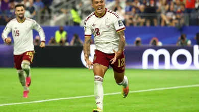 Após 16 anos, a seleção da Espanha retorna à final da Copa do Mundo com uma campanha histórica de invencibilidade. Confira os detalhes dessa conquista.