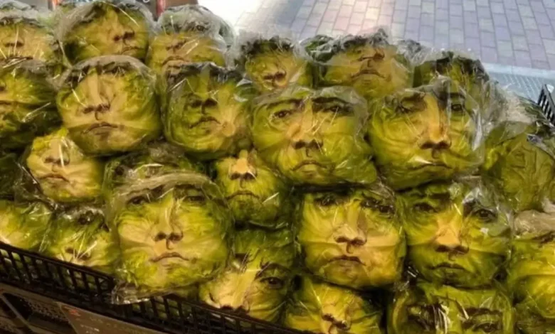Uma campanha publicitária inusitada transformou pés de alface em outdoors vivos ao estampar o rosto de um famoso ator japonês nas folhas dos vegetais.