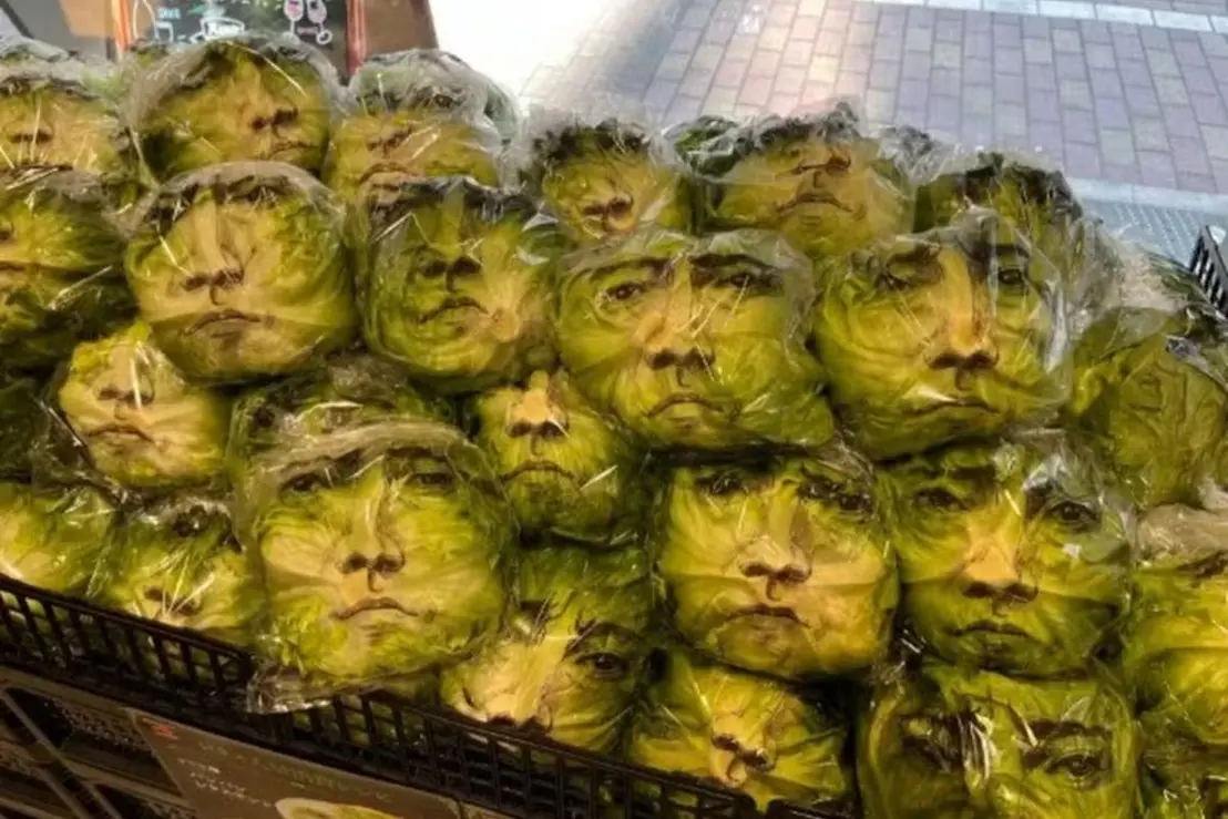Uma campanha publicitária inusitada transformou pés de alface em outdoors vivos ao estampar o rosto de um famoso ator japonês nas folhas dos vegetais.