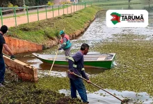 A Prefeitura de Tarumã intensifica a limpeza e o controle de vegetação no Parque Vicente Benelli para garantir lazer e preservação ambiental.