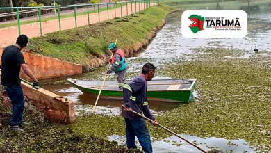Parque Vicente Benelli em Tarumã recebe ação de revitalização 2 A Prefeitura de Tarumã intensifica a limpeza e o controle de vegetação no Parque Vicente Benelli para garantir lazer e preservação ambiental.