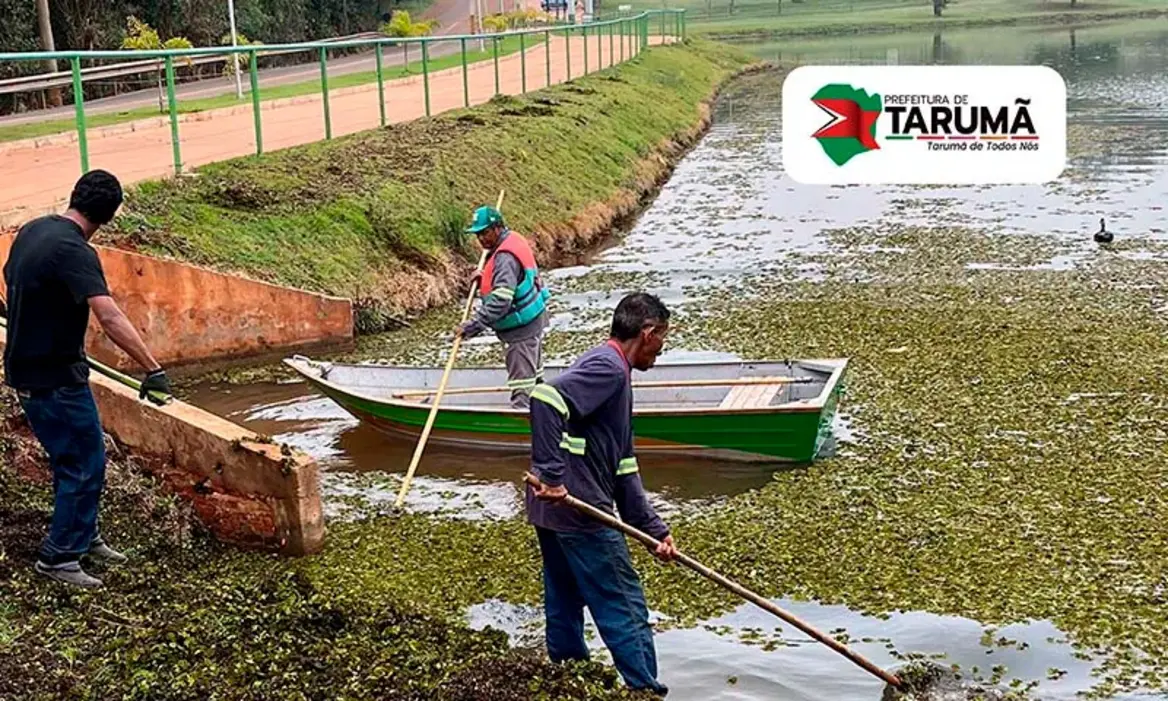 A Prefeitura de Tarumã intensifica a limpeza e o controle de vegetação no Parque Vicente Benelli para garantir lazer e preservação ambiental.