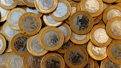 Os títulos do Tesouro IPCA+ registraram valorização superior ao CDI. Descubra como este ativo protege seu poder de compra e supera a renda fixa tradicional.