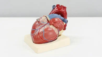 Exame de sangue revela idade biológica de órgãos específicos 2 Nova tecnologia permite estimar a idade biológica de órgãos individuais através de exame de sangue, trazendo avanços na prevenção de doenças crônicas.