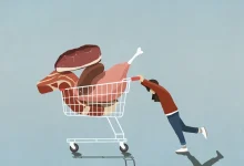Descubra qual opção entre frango, carne bovina, suína ou peixe oferece a maior concentração de proteínas e otimize sua dieta com segurança.