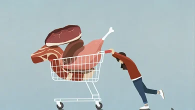 Descubra qual opção entre frango, carne bovina, suína ou peixe oferece a maior concentração de proteínas e otimize sua dieta com segurança.
