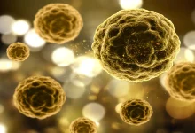 O Brasil participa de um estudo clínico internacional focado em encontrar a cura definitiva para a Hepatite B, doença que afeta milhões de pessoas no mundo.