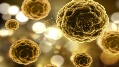 O Brasil participa de um estudo clínico internacional focado em encontrar a cura definitiva para a Hepatite B, doença que afeta milhões de pessoas no mundo.