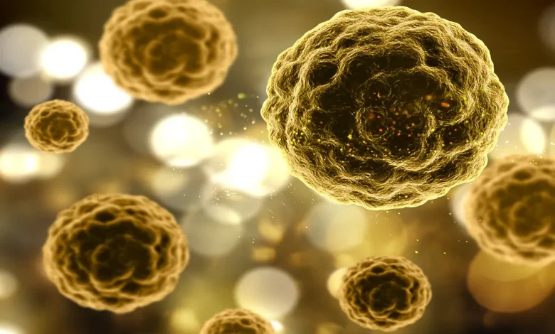 O Brasil participa de um estudo clínico internacional focado em encontrar a cura definitiva para a Hepatite B, doença que afeta milhões de pessoas no mundo.