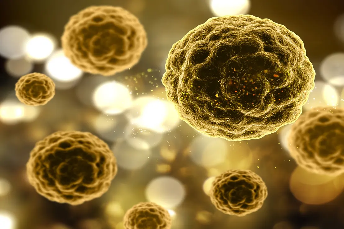 O Brasil participa de um estudo clínico internacional focado em encontrar a cura definitiva para a Hepatite B, doença que afeta milhões de pessoas no mundo.