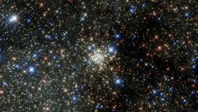 Uma descoberta astronômica revela detalhes inéditos sobre a fusão de galáxias que moldou a estrutura da Via Láctea. Entenda essa jornada cósmica.